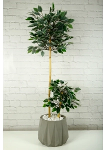 Yapay Çiçek Dekoratif Beton Saksıda Starlight Benjamin Ağacı Bambu Gövdeli Salon Ev Bitki 105 cm